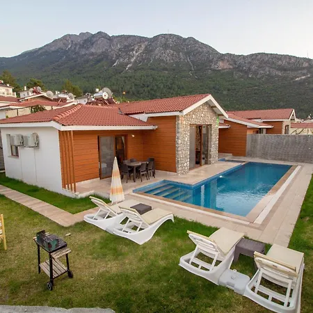 别墅 Tlos Yali 3+1 Villa, Oezel Havuzlu, 费特希耶